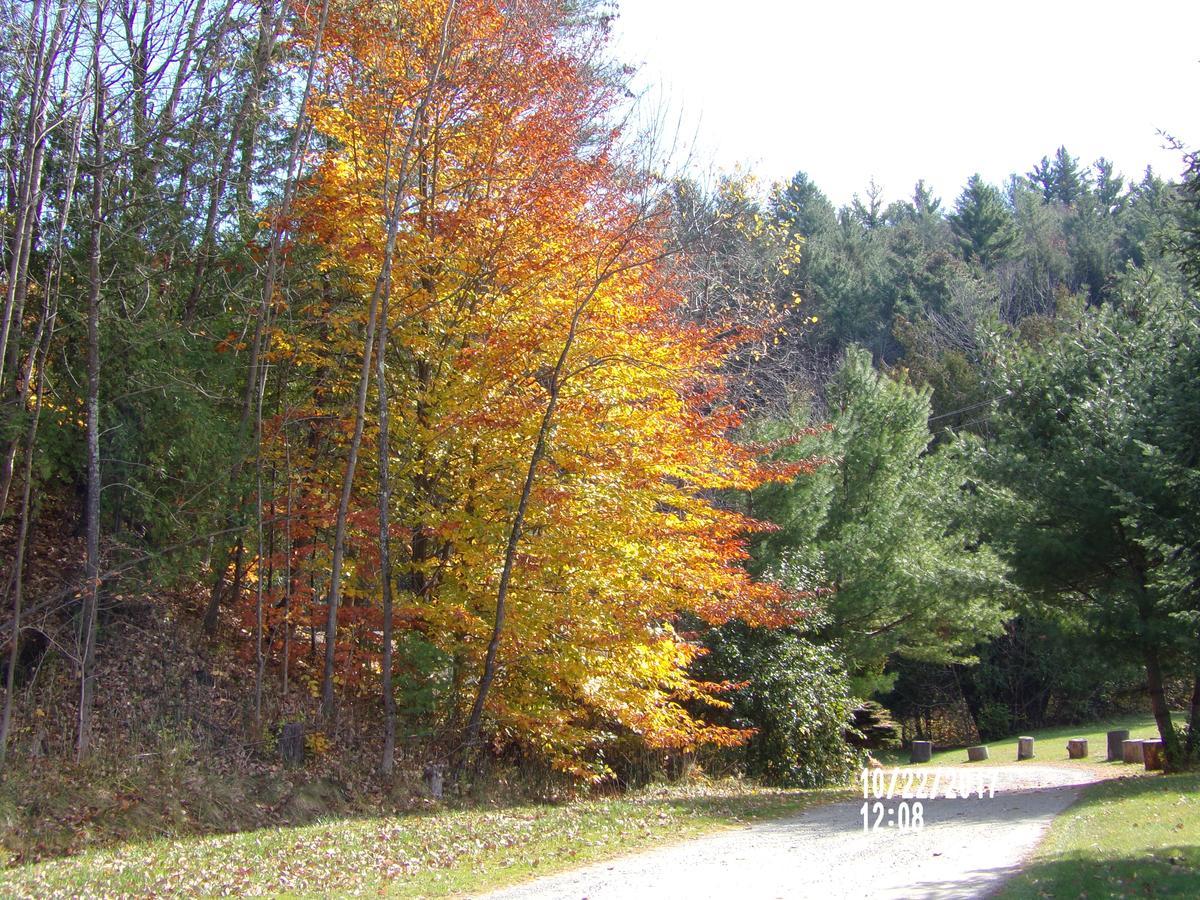 Pine Crest Motel & Cabins Barton 외부 사진